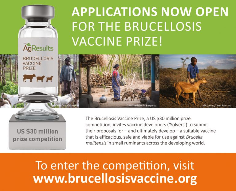 brucellosis-vaccine-prize-now-open-tweet-card-768x623