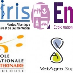 logos ENV