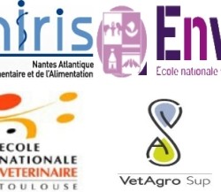 logos ENV