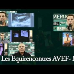 Video thumbnail for youtube video Equirencontres 2011 – Vetitude