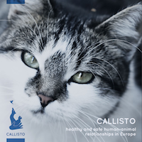 Callisto, l'étude relative aux zoonoses et animaux de compagnie