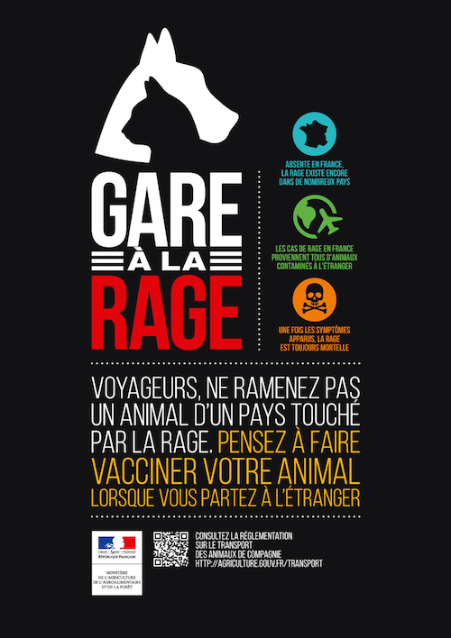 En quatorze ans, onze cas de rage ont été importés en France, tous liés à des animaux contaminés à l’étranger. La maladie est encore présente dans une centaine de pays