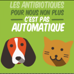 antibioresistance chien et chat