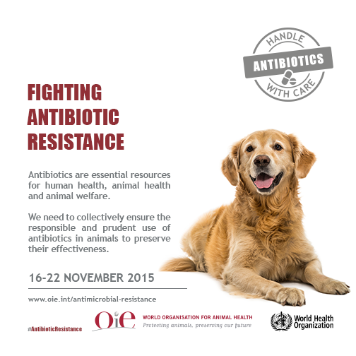 Du 16 au 22 novembre 2015, l’objectif est ainsi de sensibiliser la communauté internationale aux risques sanitaires liés à l'antibiorésistance