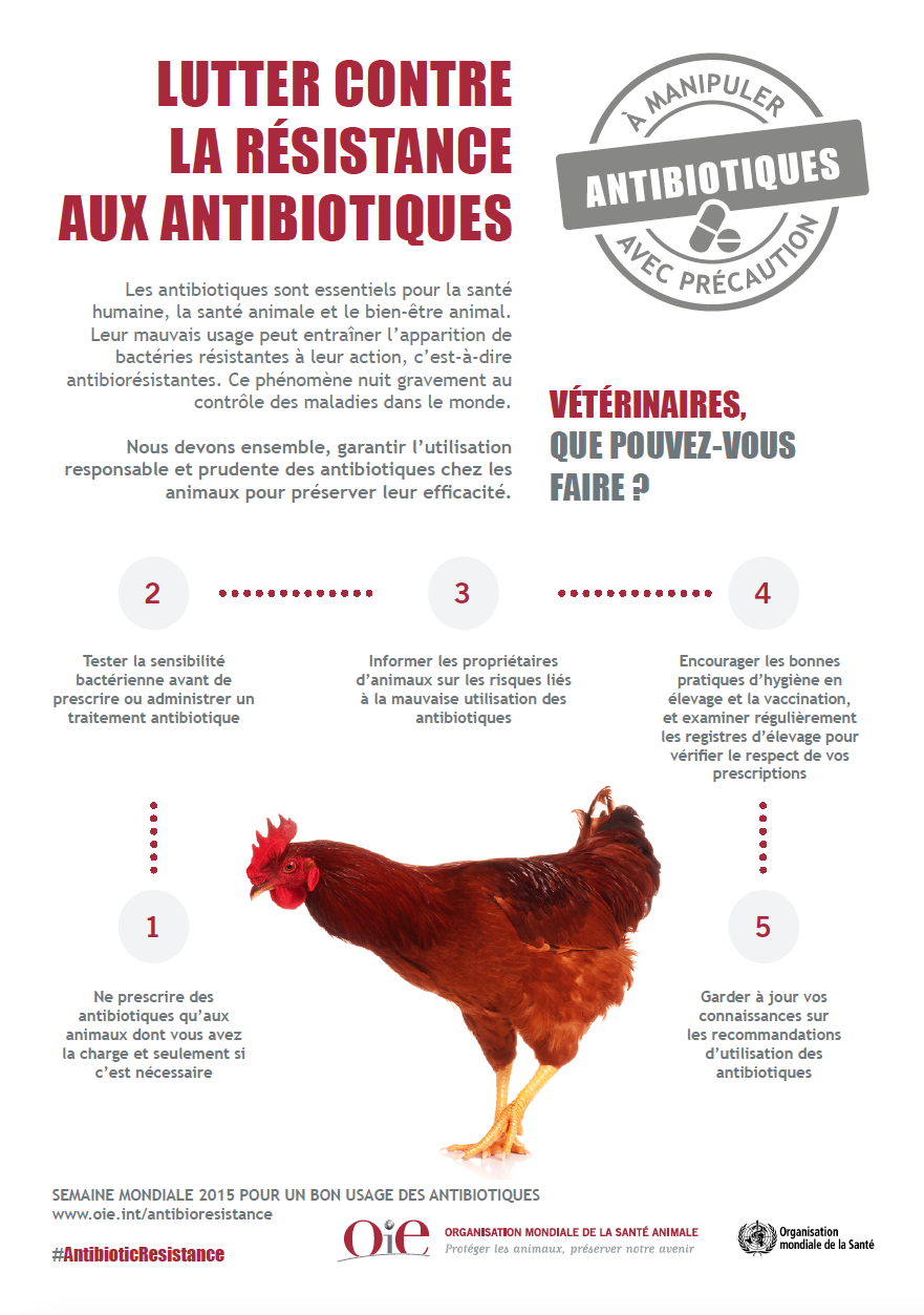 antibioresistance veterinaire