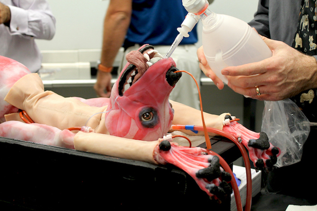 Ce chien synthétique saigne, respire et peut être euthanasié, vise à se substituer à ses nombreux congénères en chair et en os utilisés par les étudiants en médecine vétérinaire