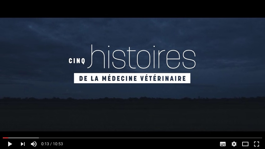 L'Ordre des médecins vétérinaires du Québec nous présente cinq histoires différentes de la médecine vétérinaire.