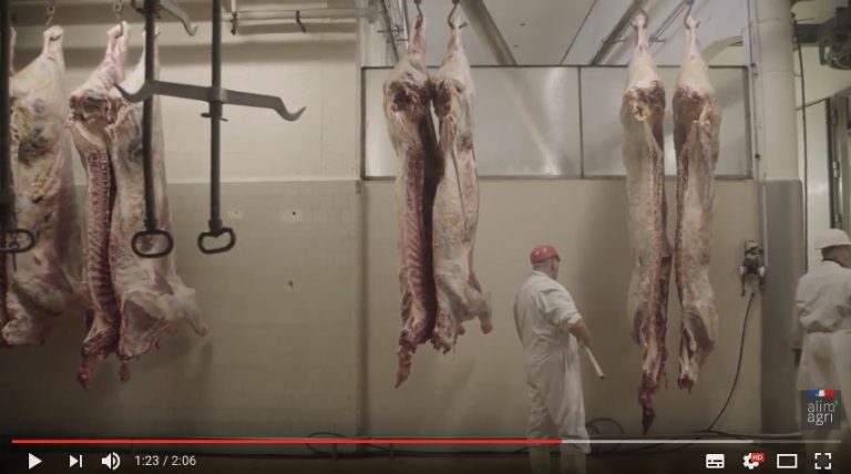 Abattoirs : le contrôle vétérinaire pour une meilleure sécurité sanitaire Abattoirs : le contrôle vétérinaire pour une meilleure sécurité sanitaire