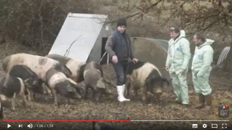 Productions animales : La sécurité sanitaire des exploitations Productions animales : La sécurité sanitaire des exploitations