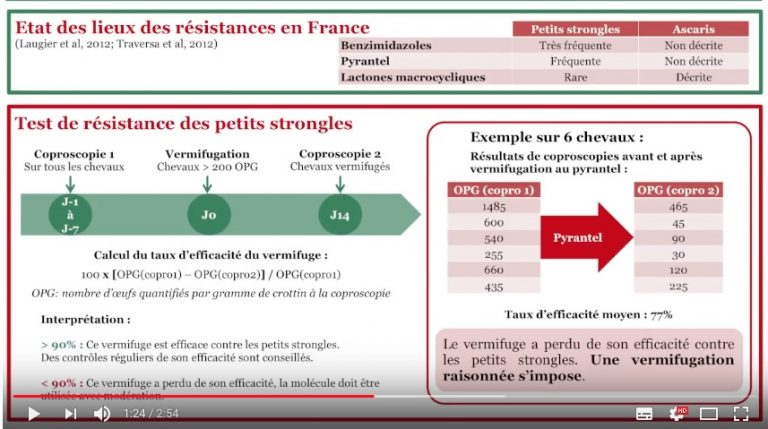 Résistance aux vermifuges chez le cheval Résistance aux vermifuges chez le cheval