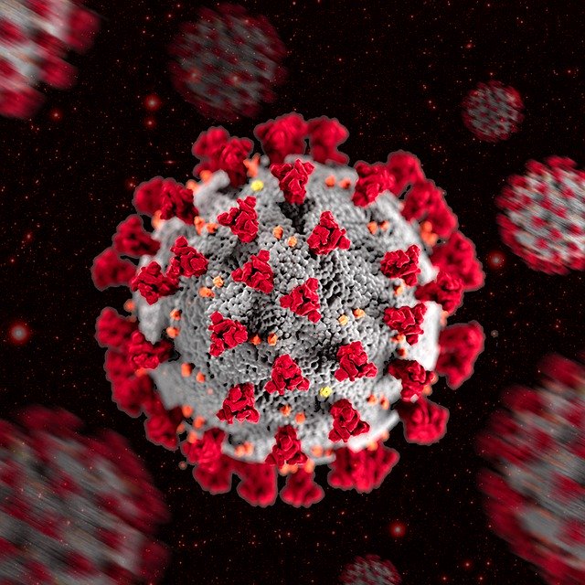 La pandémie de Covid-19 liée au coronavirus SARS-CoV-2 est d'origine zoonotique