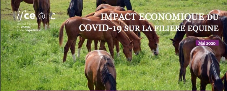 COVID-19 & confinement : la filière équine subit de lourdes pertes économiques COVID-19 & confinement : la filière équine subit de lourdes pertes économiques
