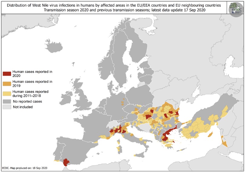 Cette année, la surveillance épidémiologique indique une circulation en Europe depuis juillet, avec une augmentation du nombre de cas équins ces dernières semaines