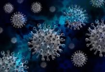 Covid-19 : un an après, que sait-on de l’origine du virus ?
