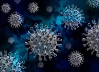 Covid-19 : un an après, que sait-on de l’origine du virus ?