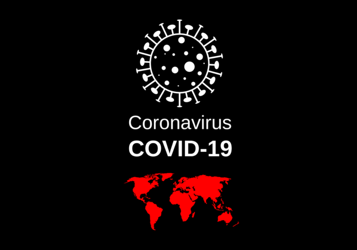 Avec plus de 9 millions de cas confirmés de Covid-19, le Brésil est l’un des pays les plus touchés par le nouveau coronavirus. Des chercheurs ont donc voulu évaluer l’impact de la pandémie chez l’animal de compagnie dans le pays. Une étude révèle que 31 % des chiens et 40 % des chats avec des propriétaires infectés par le Sars-CoV-2 sont également positifs à la Covid-19, bien que la moitié d’entre eux ne présentent pas de signes cliniques