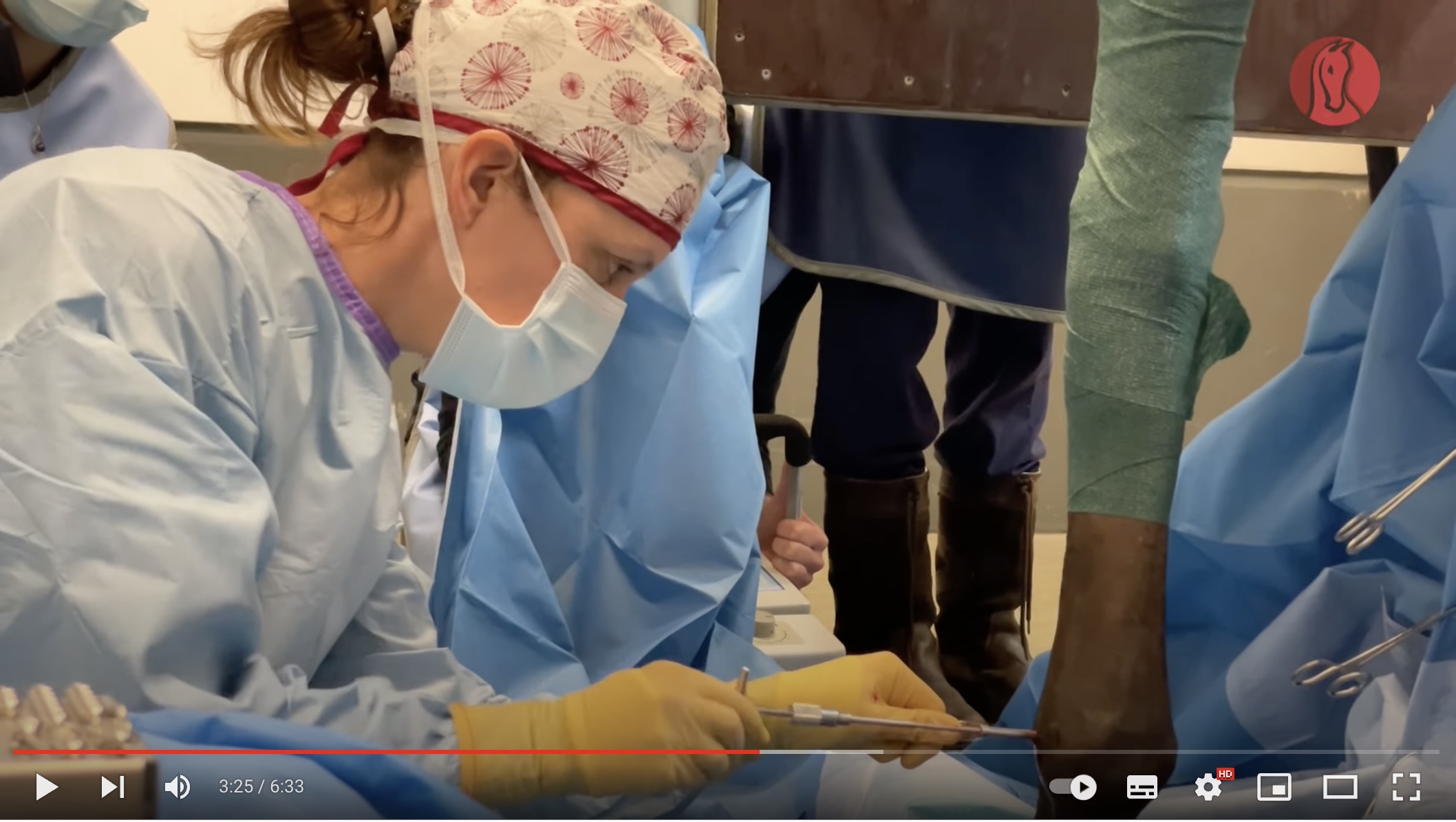 Dr Tamara Sourdeau de Beauregard nous montre dans cette vidéo comme réduire une importante fracture sur une jument de 4 ans par une opération debout